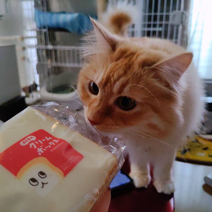 4d3cd1da 861c 43e6 8957 9f909a6ac7d5 1685012721926