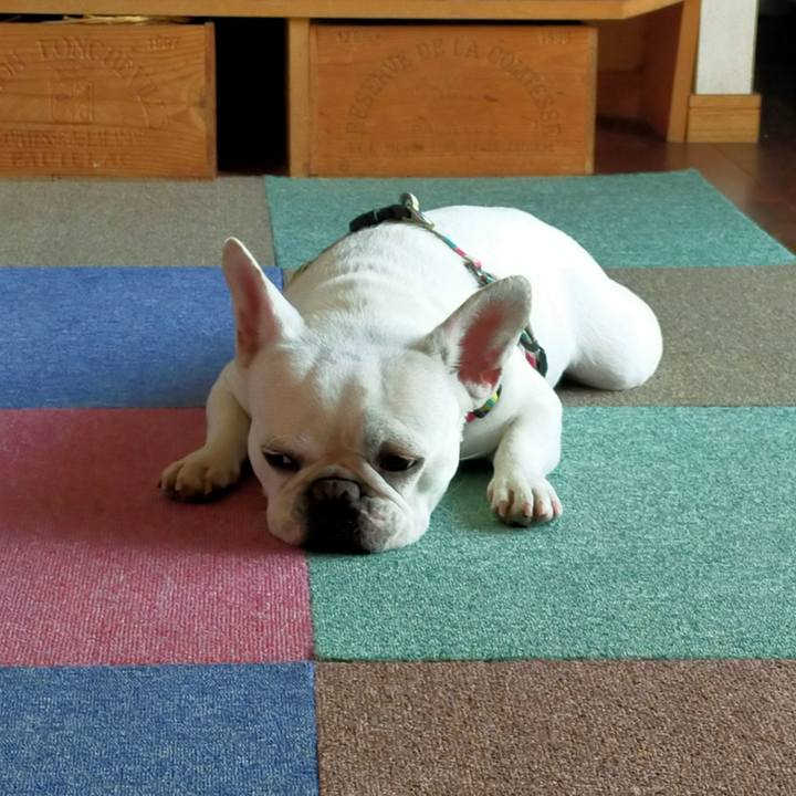 4d3ce929 d9f9 4107 a992 64ad37aafa49 1651791625079