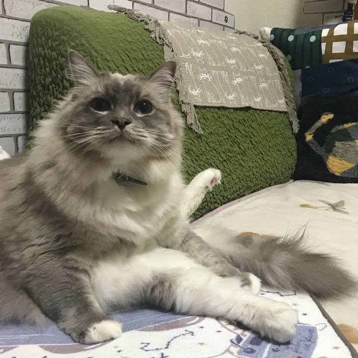 4d3cfe70 3332 441a b1a6 45a1868d215a 1511911715381