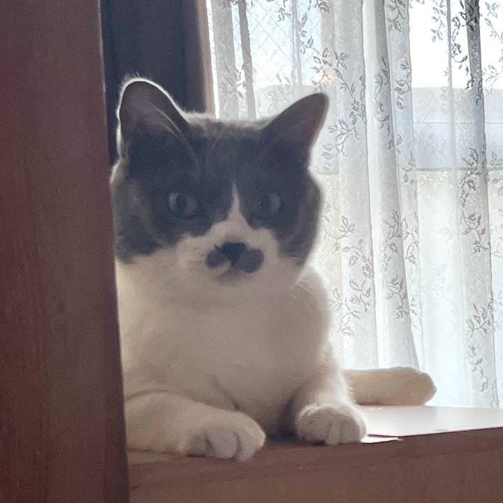 4d3d0c24 c545 4348 8d2e ce9f8ae6d11f 1658998720941