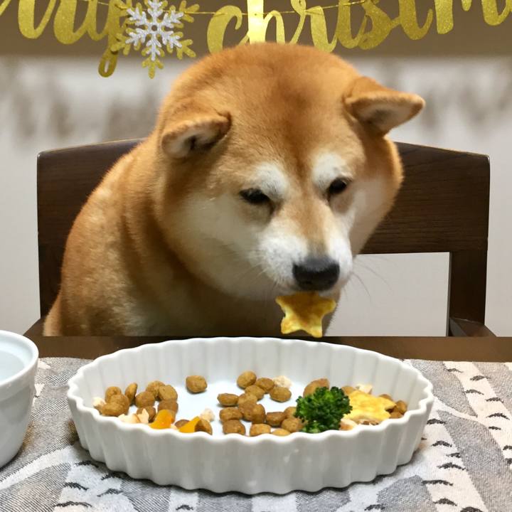 4d3d4c6c c2da 4cdd b001 157d2a0bc8d1 1577196887807