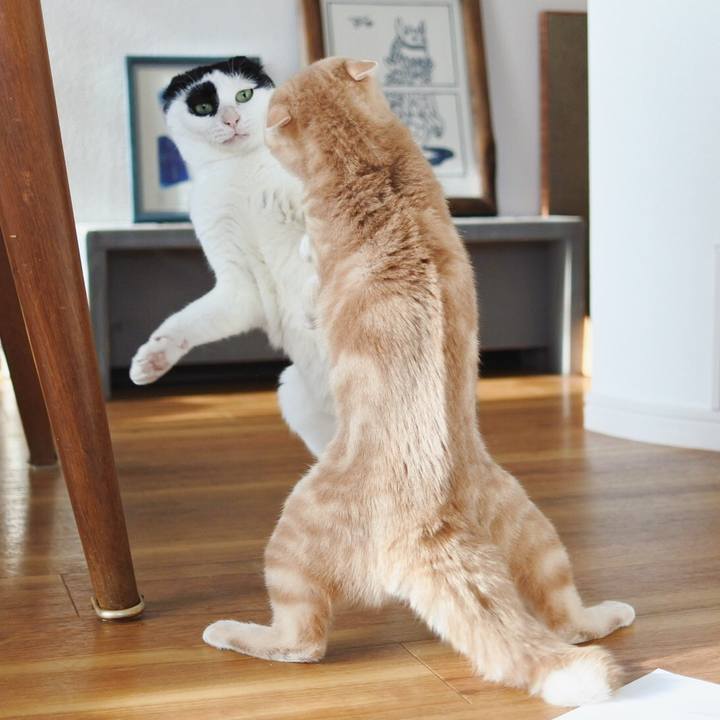 4d3d85b8 2053 4c6e 9286 94dcde7c2c5c 1698558784417