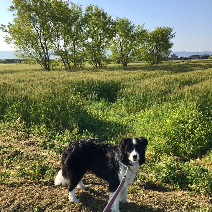 4d3da5fa 282e 4991 b9fc 82fc18c5c96f 1587770565146