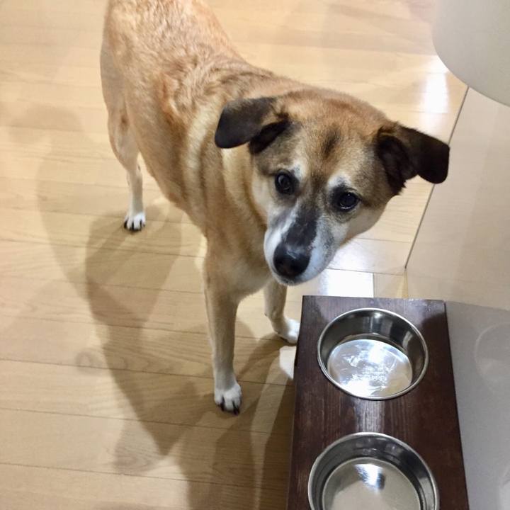 4d3daab5 0741 4526 9dc3 6df86181ae62 1550013368946