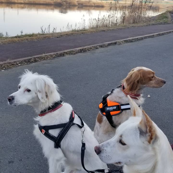 4d3e4068 ef9f 404e 84d4 3afd8cf7c855 1612663176266