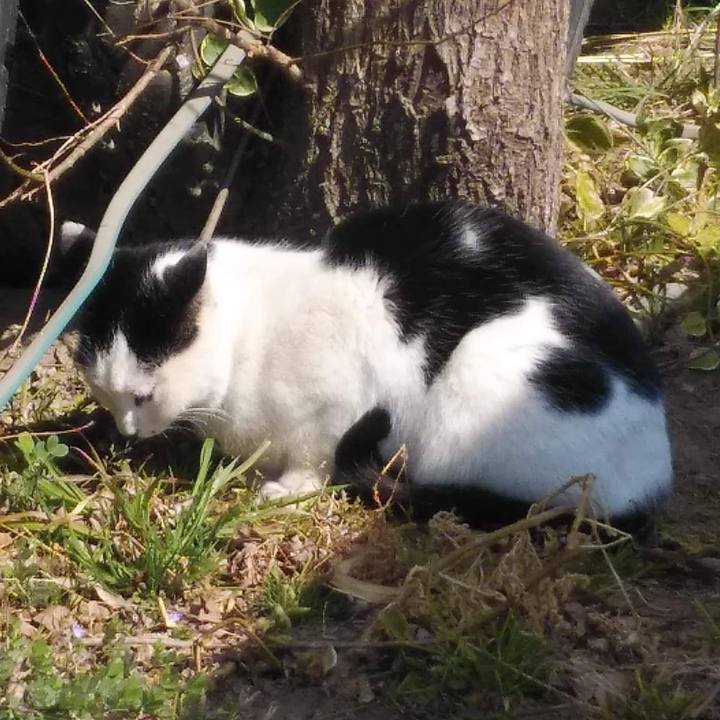 4d3ea792 e5fd 4b91 bd1c 8bc220ac2ef2 1646390664390