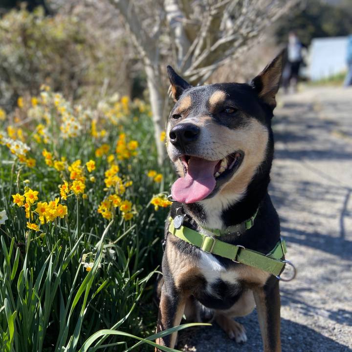 4d3f34d6 3dd0 43dc bdf5 37916c0cfb87 1644753432848