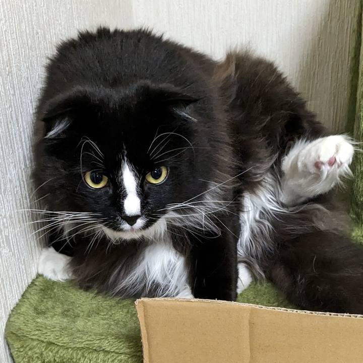 4d3f4b3b 44a4 4115 806c a9528356e920 1680262057718