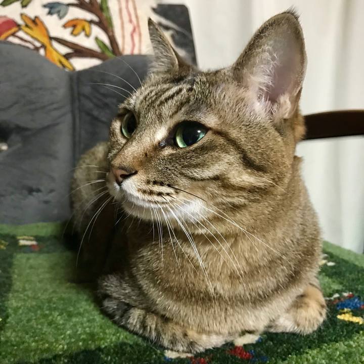 4d3f60d9 ba74 4438 a8fe 55ba86e82060 1550582426088