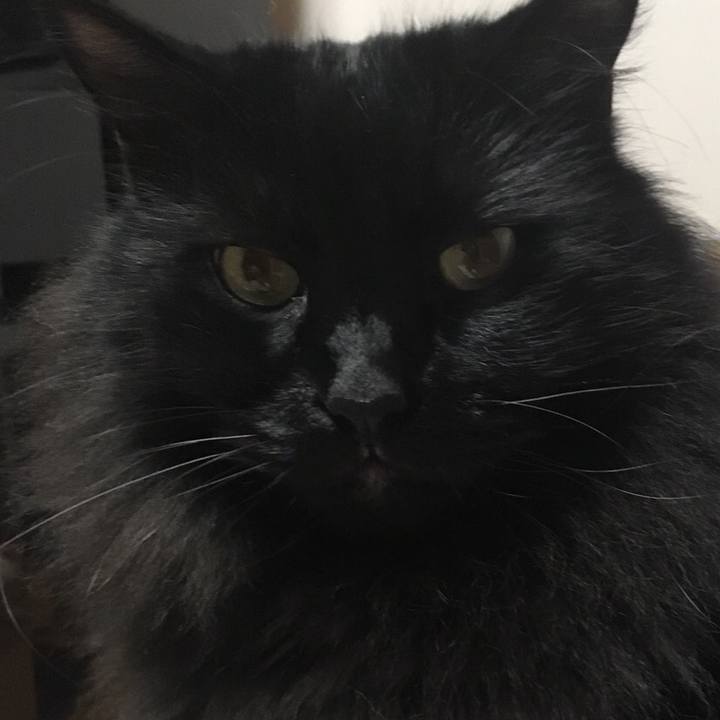 4d3fb89d e6d8 4451 a962 1988585be35a 1545778459441