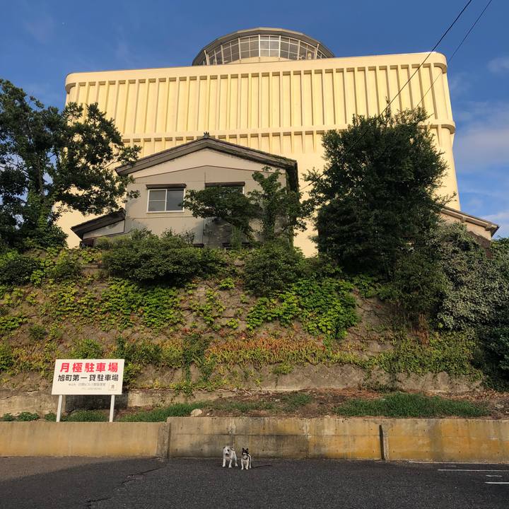 4d3fd24c c9f9 4f29 a3c9 14dc0cc8fa78 1533890971643