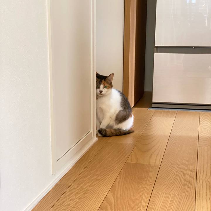 4d3fef30 2824 486b ab2c 663fb4c98da3 1665192136758