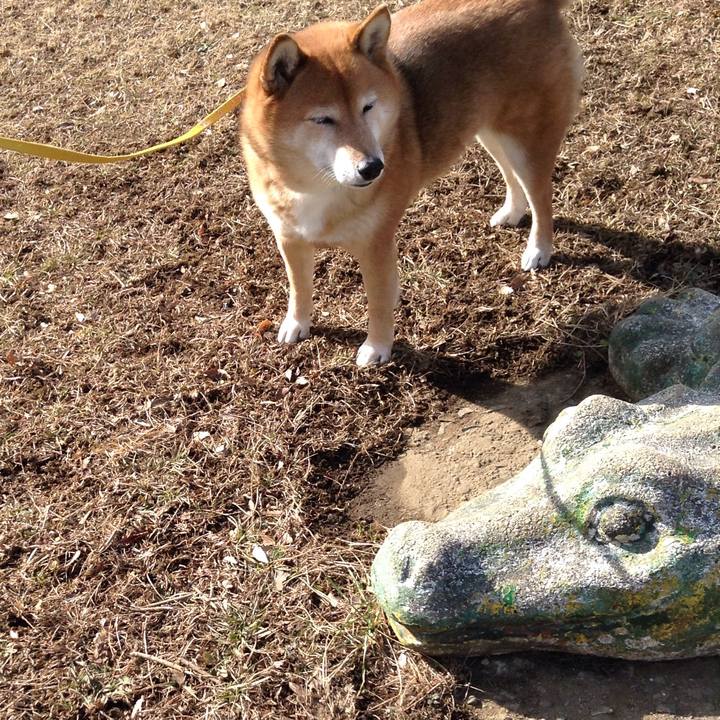 4d4042e4 5f16 4578 926d a8086fa64443 1548403830240