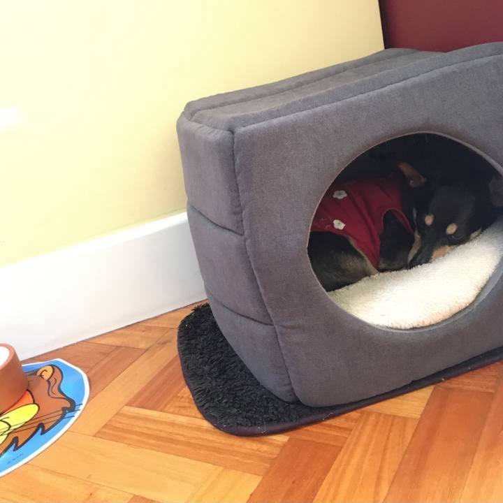 4d40a040 5c19 4813 b02b 033647705035 1759239731327