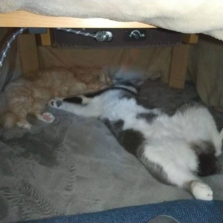 4d40aef4 ae3e 4b88 b397 516ffafd332c 1643253517526