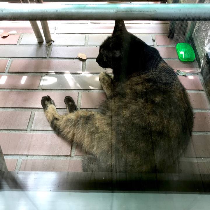 4d40afda 302f 4ab5 8615 96be97465d06 1534051950486