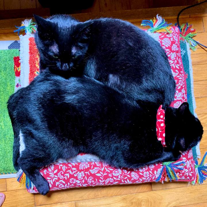 4d40bd09 0663 4a93 a221 b036a935752e 1628509413605