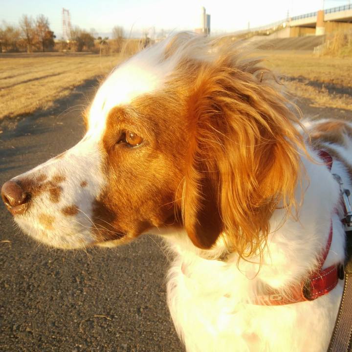 4d40eaeb 6e6f 4dfc aa6f 4de9afbae1e6 1545912312771