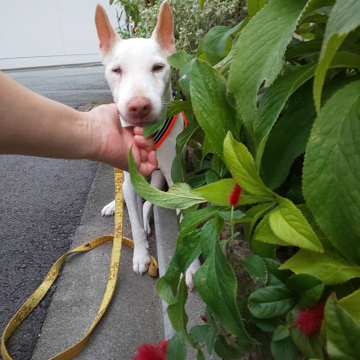 4d40f1ef 8422 4dd1 9b66 ff7f6ce9aee6 1567244256972