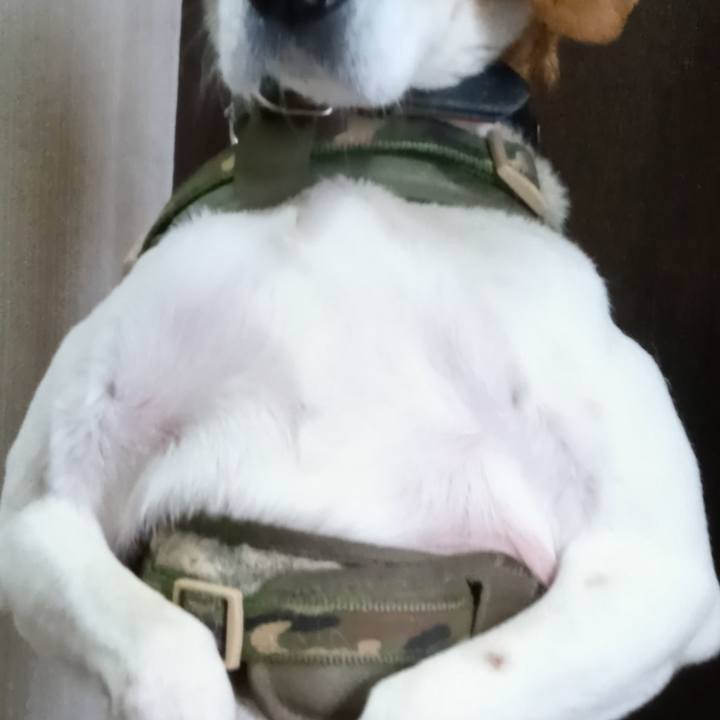 4d410704 432a 4eea 8f9b 335b8ac7c75f 1713360200314