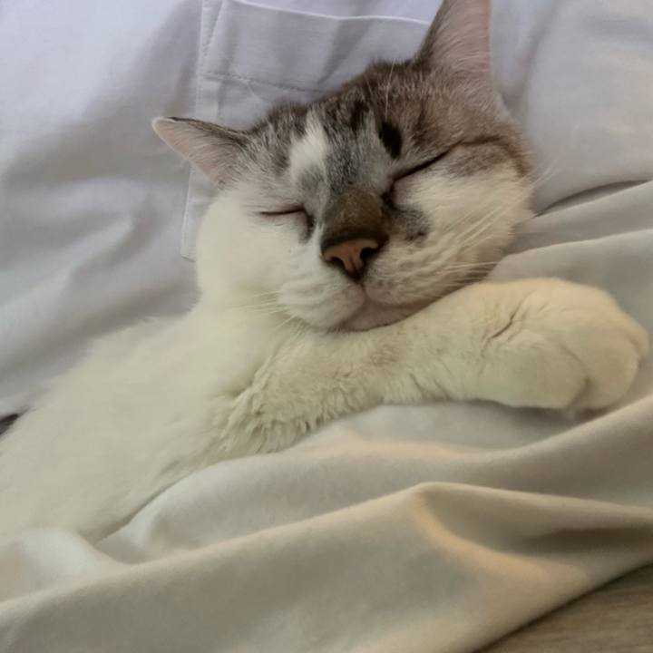 4d4111de 2799 4c8b 9c8a 01e48afa8aa1 1744330520509