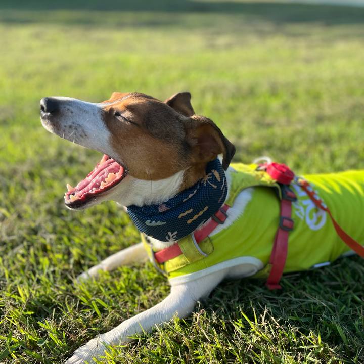 4d4113a5 d782 4e46 9c75 05d229fd8198 1721435144947