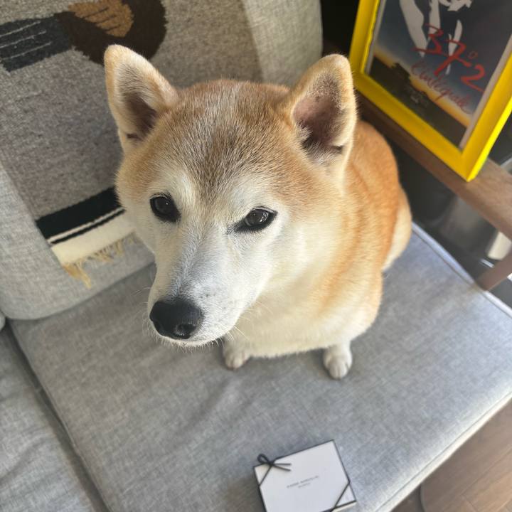 4d4118c4 a1a7 49c0 a3a0 6483b4d78f88 1739136892521