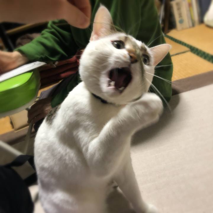 4d413a90 03ff 4353 a336 bb3cf0374bf7 1521727842489