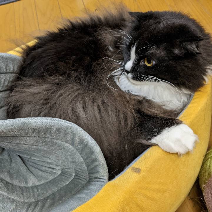 4d41874e 1fe1 4415 b6e2 486c397b53a4 1669585916285