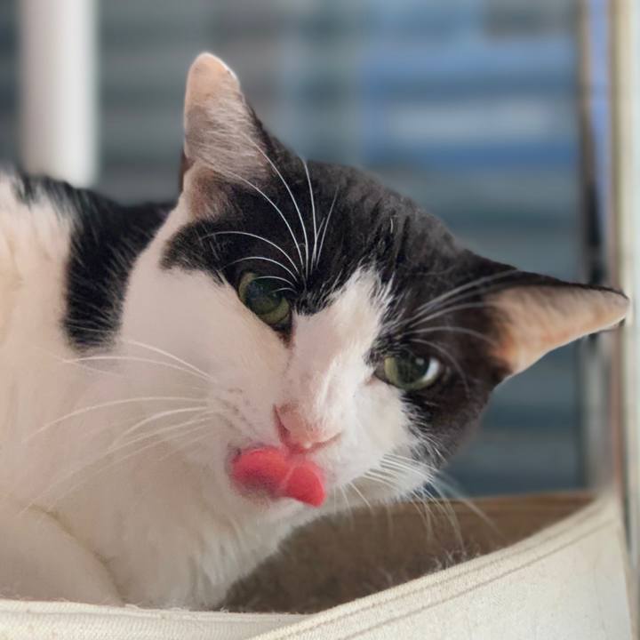 4d41c744 1bf0 4c4d 8526 1cde8c81d0a7 1600480747102