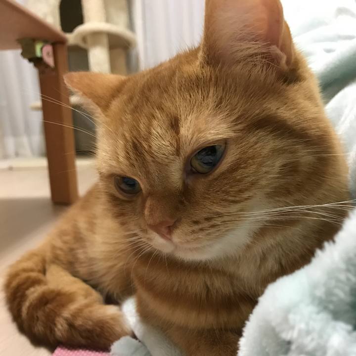 4d41ec18 72b4 47dd 94c6 90fed0f6c441 1510095856780