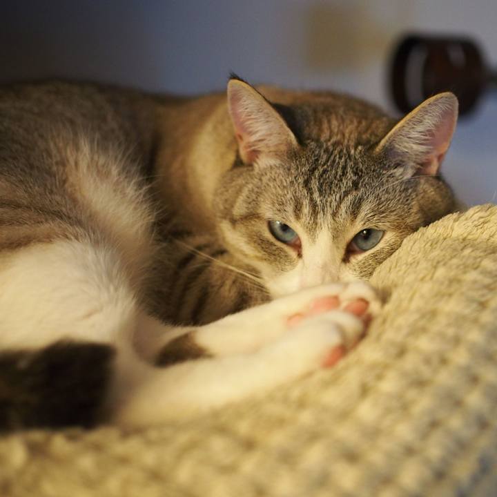 4d422c90 310f 4e41 a01b babf73ffd1b5 1560604577930