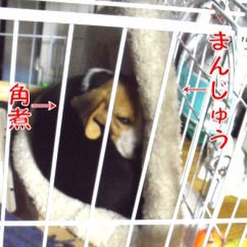 4d422df2 55de 4236 948f c1aacbb232a7 1679617999971