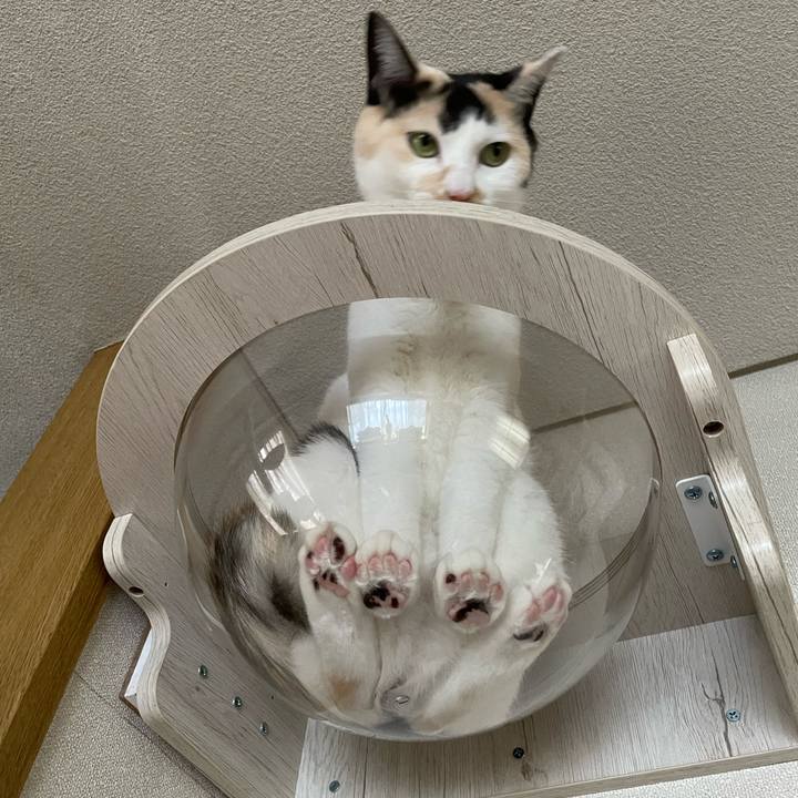 4d4240b8 954e 473b b4c3 3659aad518be 1746755508600