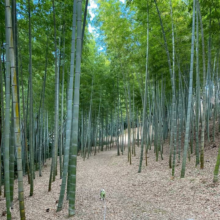 4d424f34 65c6 4b6f 8b25 1aad1b0f100f 1641195324289