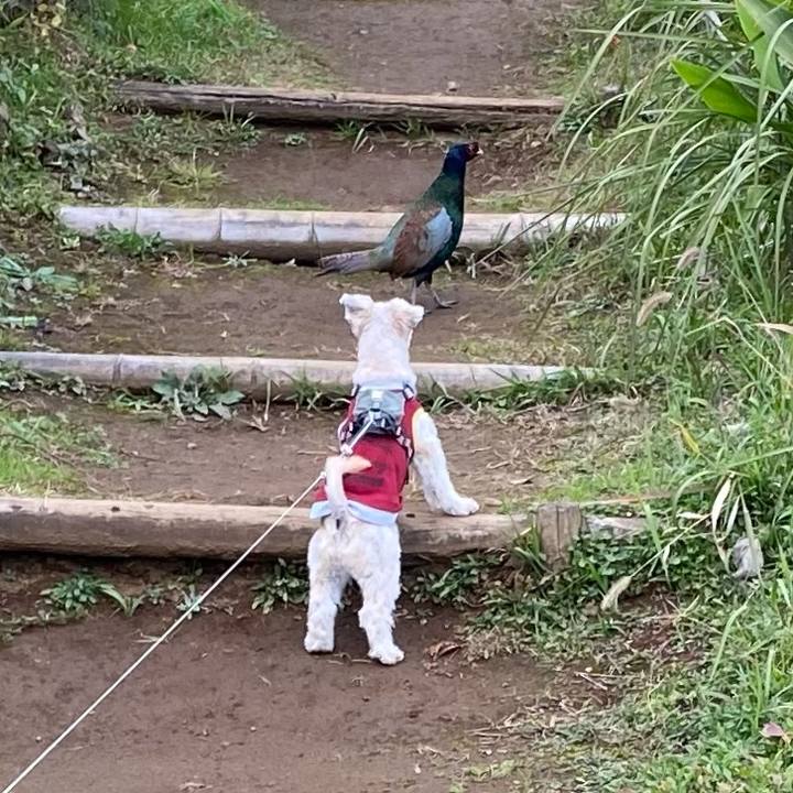 4d429e89 4b0a 49ec b53b 58a80b161cc6 1636277688290