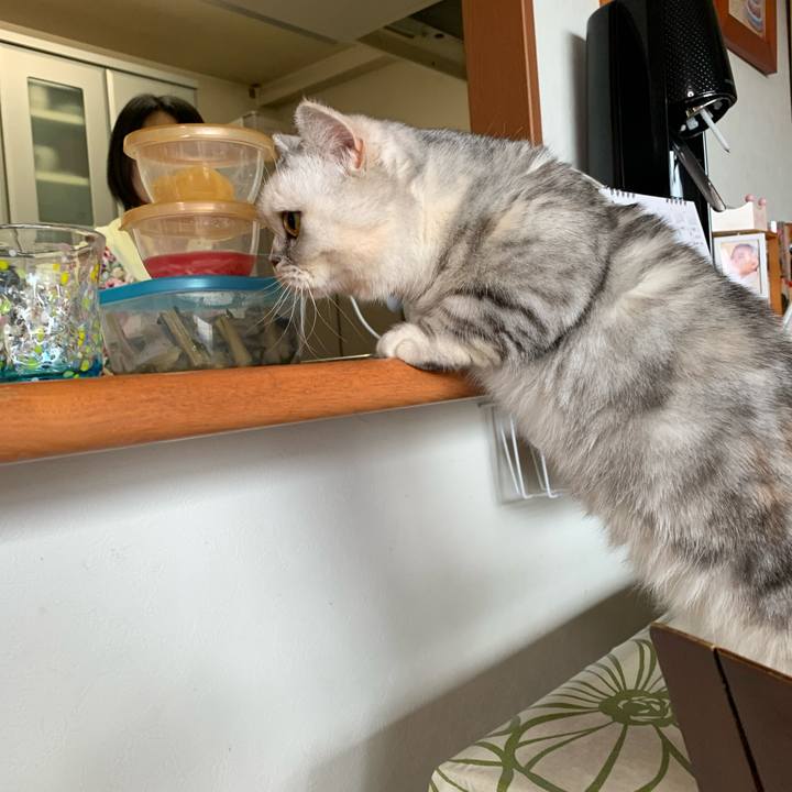 4d42b96f a09e 42be a034 c20d44d94062 1713654536888