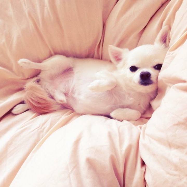 4d42da48 37fa 4e12 a414 11af51fb1fe9 1509924673499