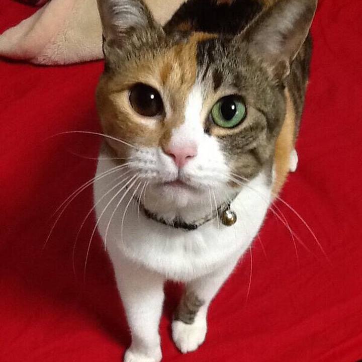 4d430457 cb1a 4688 b878 d8fba087d38e 1544369553552