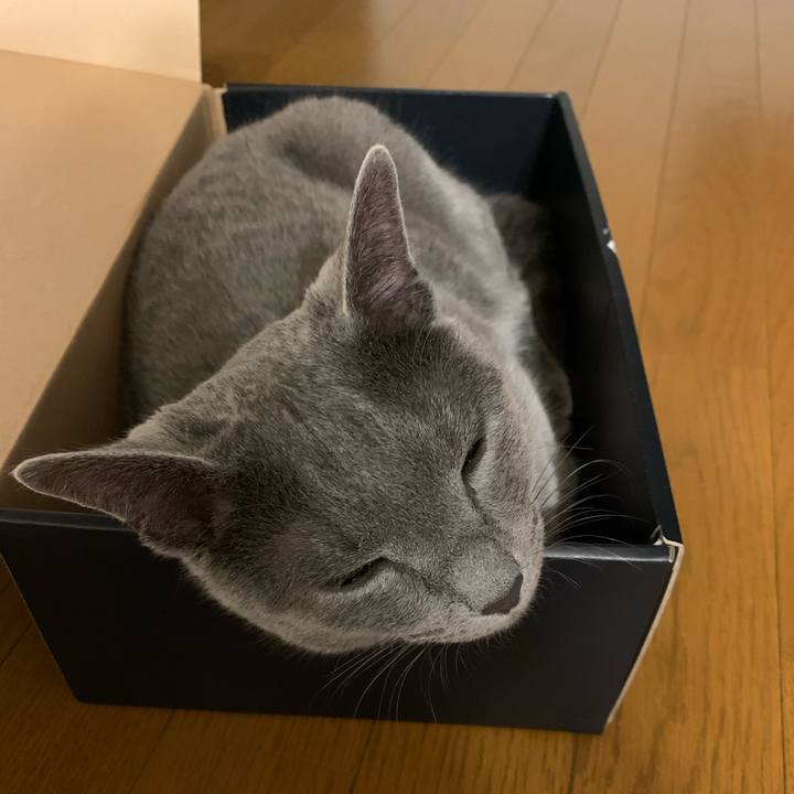 4d430766 67c4 4514 802c 0d787f8f52f4 1586085330399