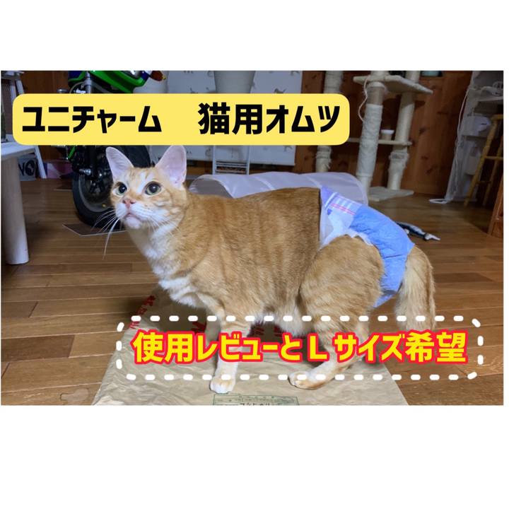 4d43b8e5 8612 4bef 9630 4510c67fe0f3 1666475971477