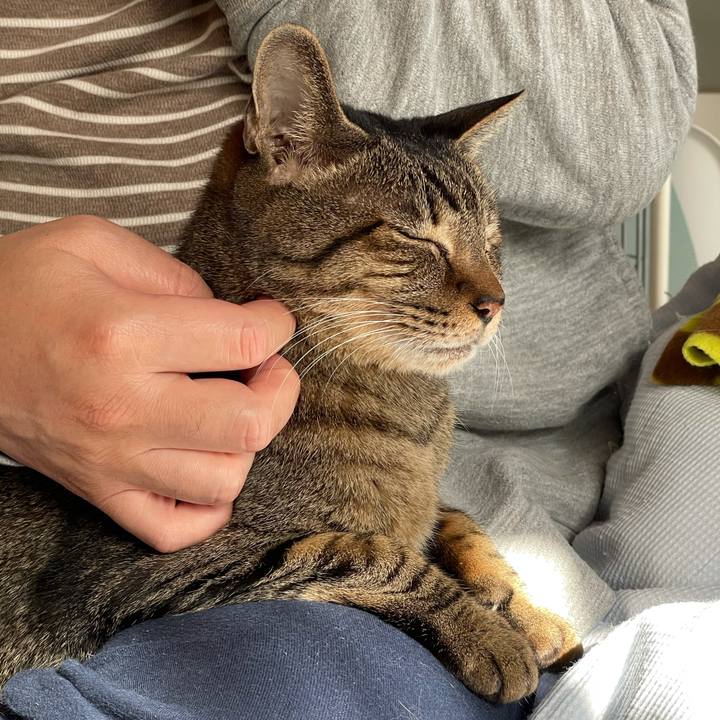 4d43c89e cf07 4b67 a47a 5ebbeb331e2c 1605144288615