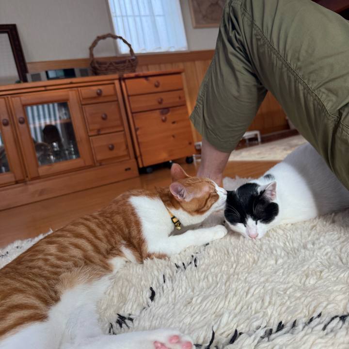 4d43fecc 05ab 46e2 9b0c 5ec0b1729b97 1761024784849