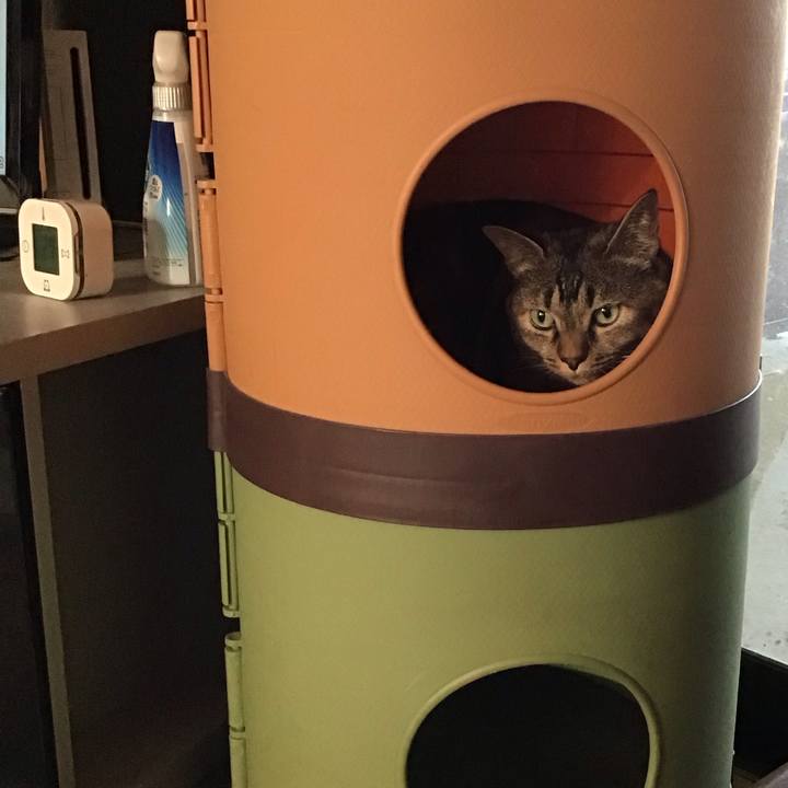 4d442e2d 5df6 459b b676 4e8c13819211 1721697448108