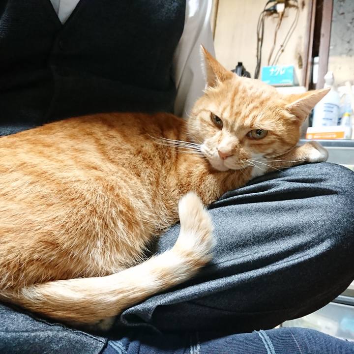 4d444576 5fe5 4f70 9649 d852a295cdac 1604480761411