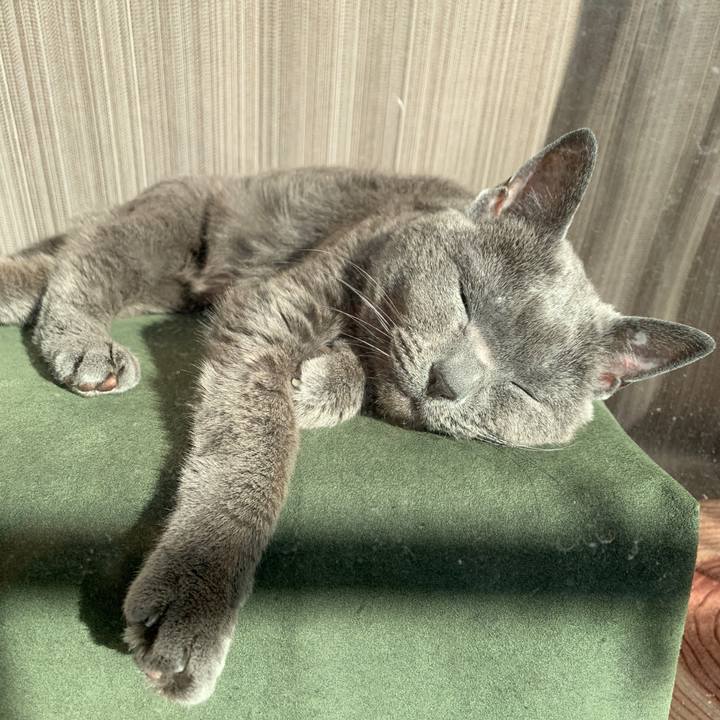 4d4468b6 0de0 49ca b516 f8cfdd0ef0c1 1640995518794