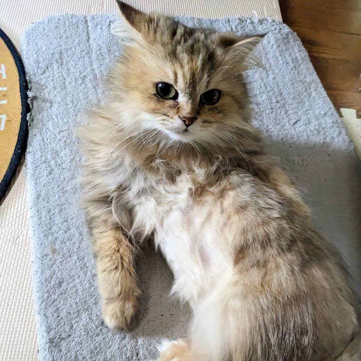 4d449a3e 04e7 4e51 b57a fcb59cd73939 1683334477210