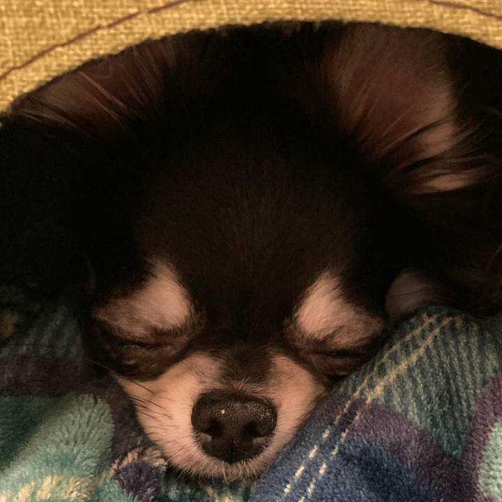 4d44b020 95be 435a a89d aa1bc2436317 1610719849692