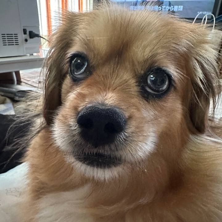 4d44bd83 b65f 45ea b415 3c88a9bb7ea3 1682026802607