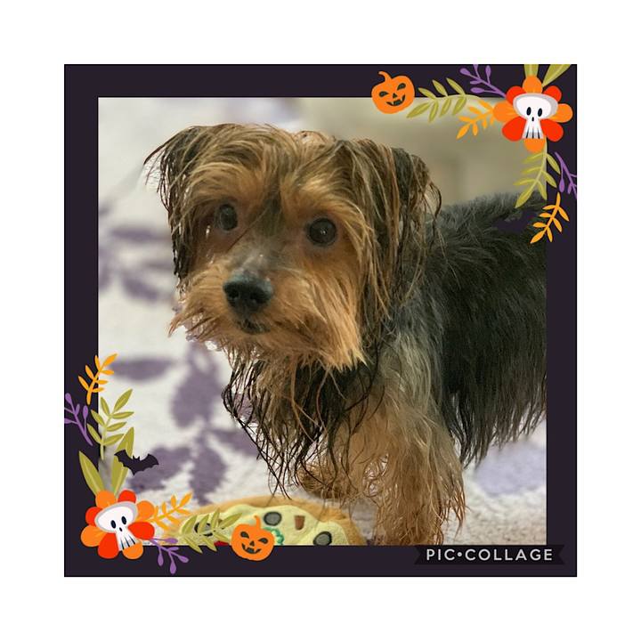 4d44bde1 b80b 4803 89cf 174aa7a795d1 1540702496276